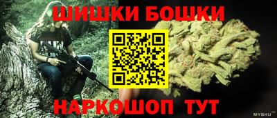 гидропоника Сланцы