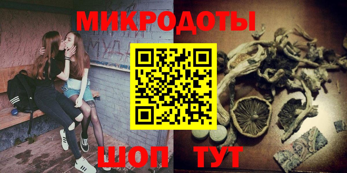 Псилоцибиновые грибы Cubensis  Вход с VPN  Новокубанск 